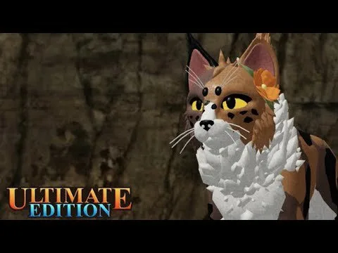 Video guides